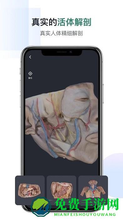 口袋人体解剖app