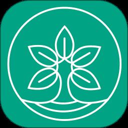 比茶大陆