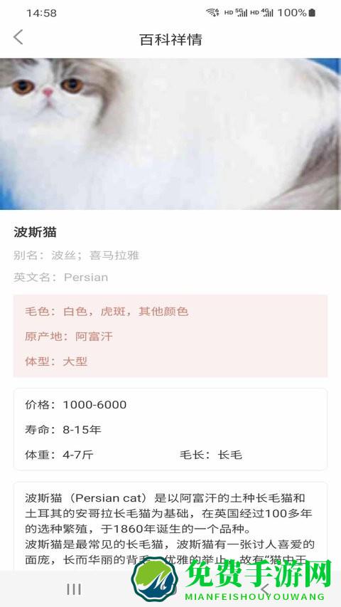小猫先生app