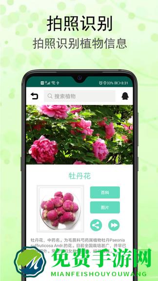 识花草