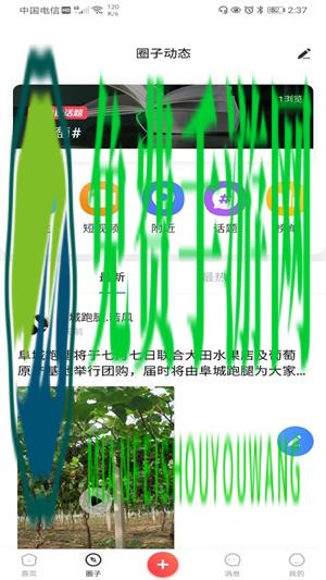 阜城跑腿