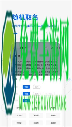 写作家