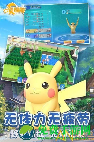 口袋喵喵小米版