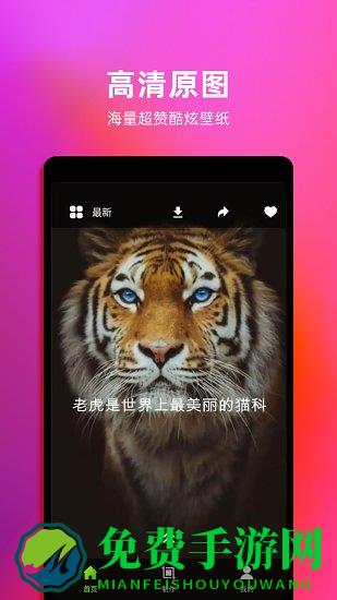 live动态壁纸app