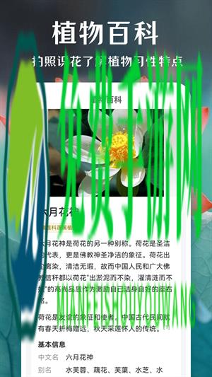 一键拍照识花