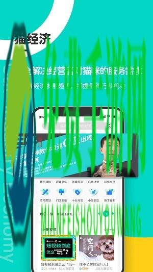 宠行生app