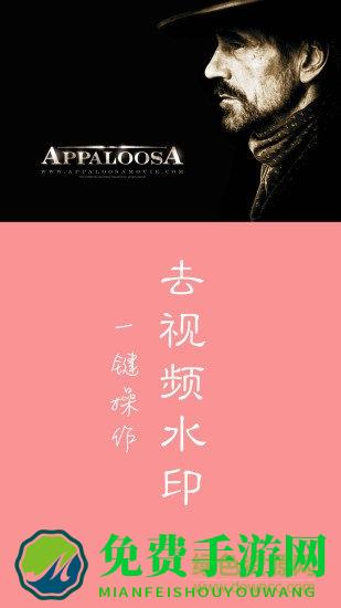 快去水印vip