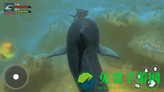 海底大猎杀3d版大鱼吃小鱼