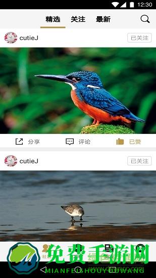 识鸟家app