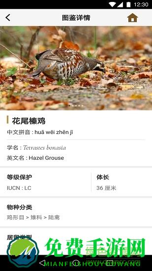 识鸟家app