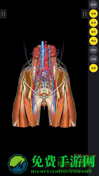 3dbody8.0中文正式版