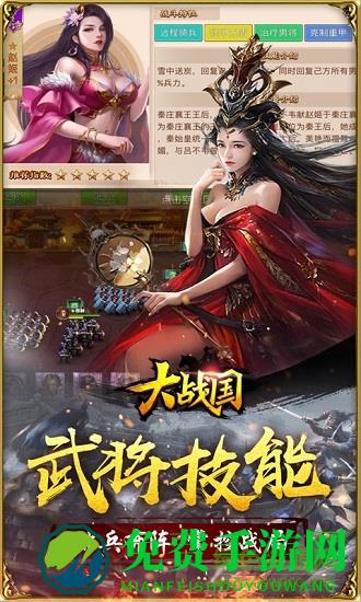 大战国vivo版