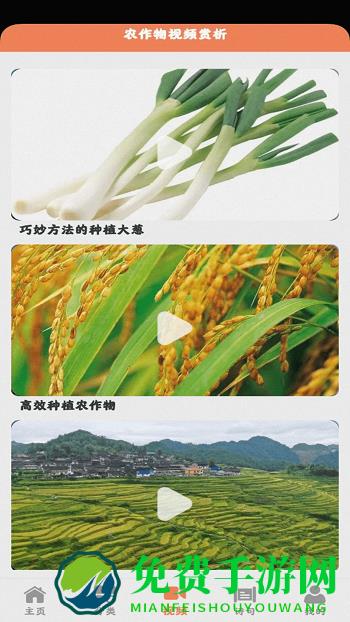 田园小院手游