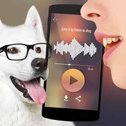 可爱猫狗翻译器app