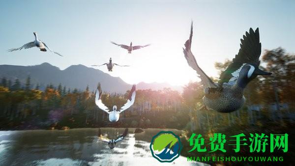 荒岛探险家
