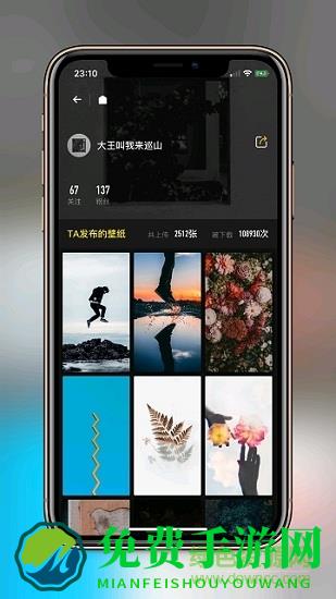纸塘壁纸软件