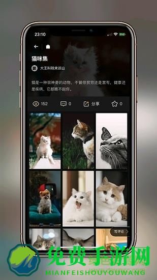 纸塘壁纸软件