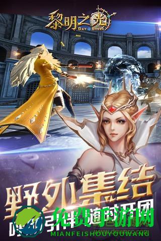 黎明之光单机游戏