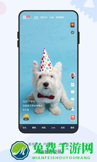 龙平台影视app