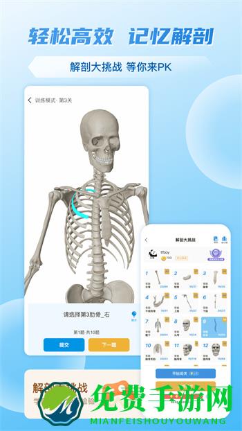 维萨里3D解剖教学全集终身免费版