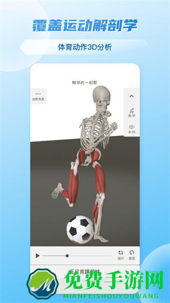 维萨里3D解剖教学全集终身免费版