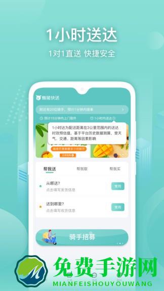 懒猪快送