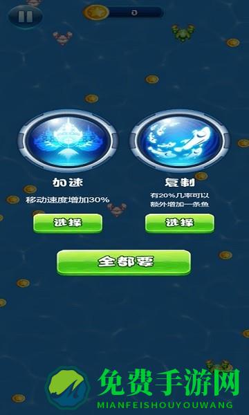 皮皮虾历险记
