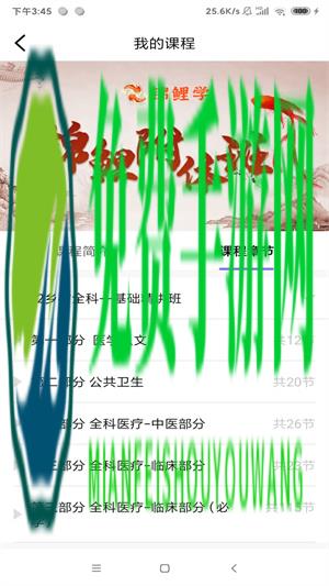 锦鲤学