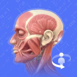 2025人体解剖学图谱