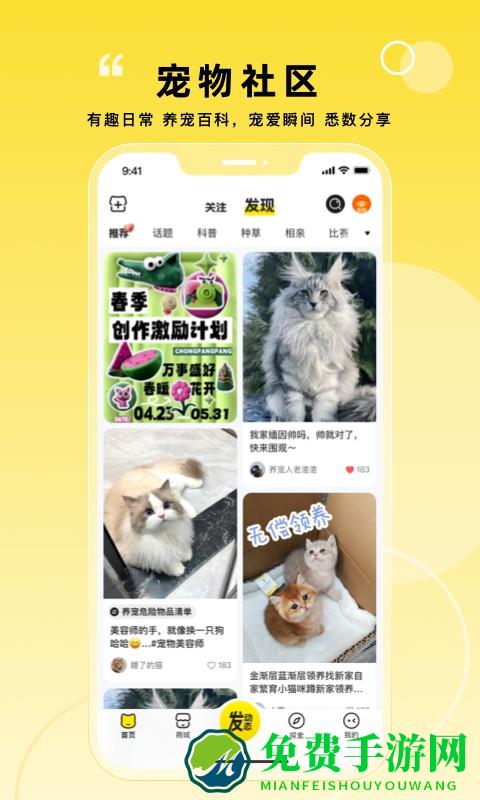 宠胖胖