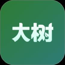 大树菜谱