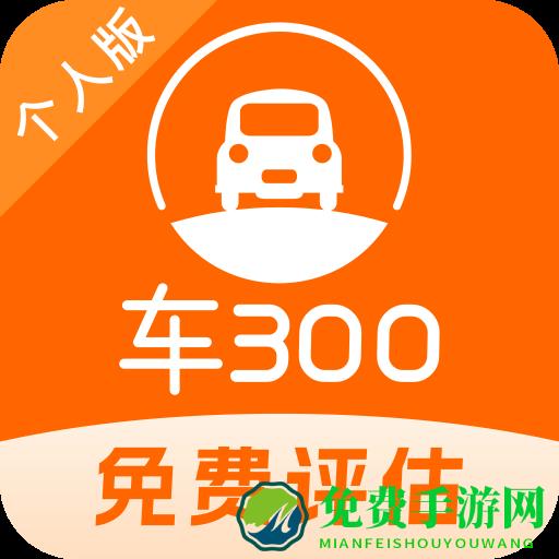 车300二手车app官方版