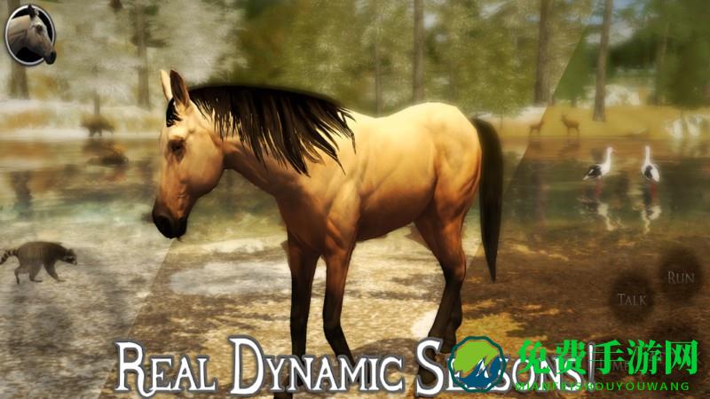 终极小马模拟器2游戏