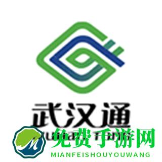 我的武汉通