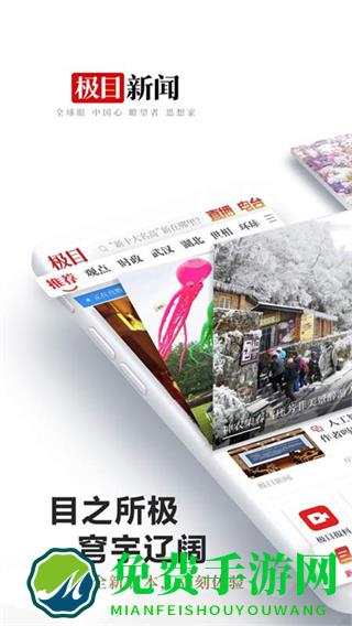 极目新闻