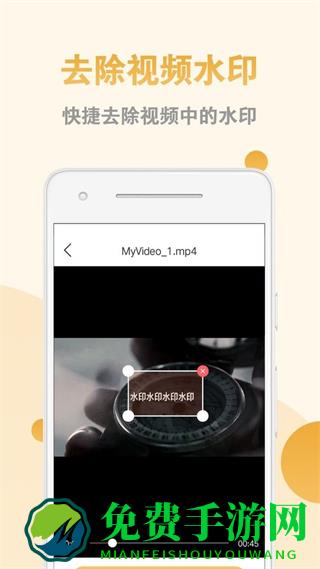 视频去水印助手app