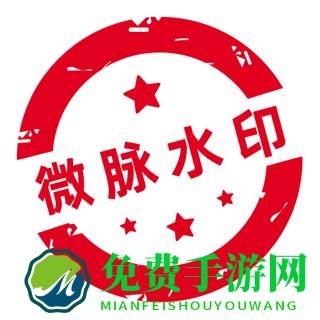 菱形网状水印手机软件