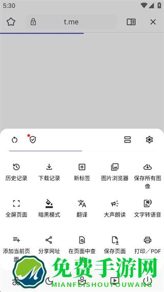 灵魂浏览器中文版