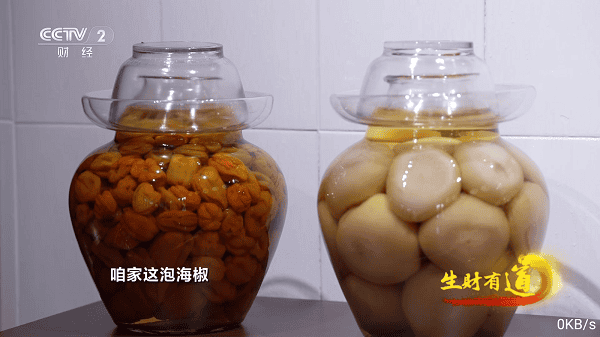 飞扬直播TV极速版