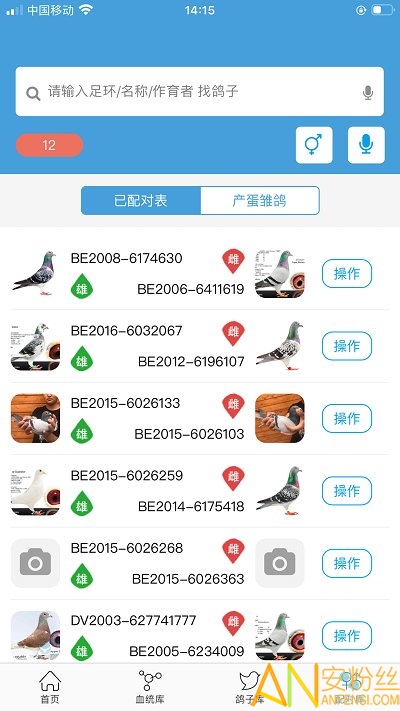 赛鸽云app 赛鸽云手机版下载