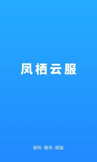 凤栖云服app